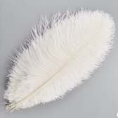 Strucctoll 15-20 cm - WHITE #2